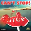 Can't Stop -Board Game Store Cant Stop 1000x1000 1